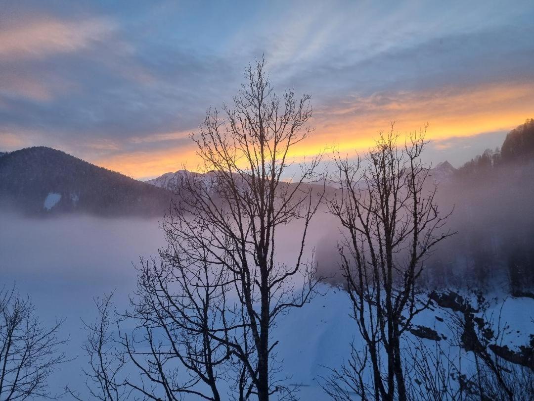 Ns Suite Sauris Dış mekan fotoğraf